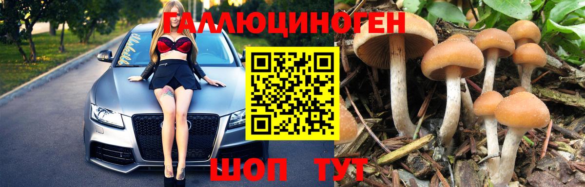 Галлюциногенные грибы Magic Shrooms  Псилоцибиновые грибы Psilocybine cubensis  Заречный  Вход с VPN 